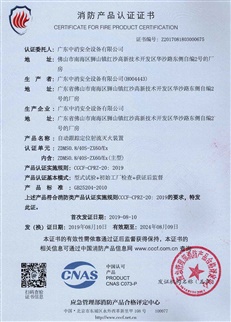 40L防爆炮證書